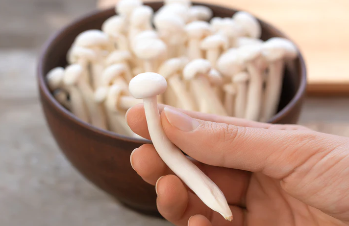 Exploring the Health Wonders of Enoki Mushrooms