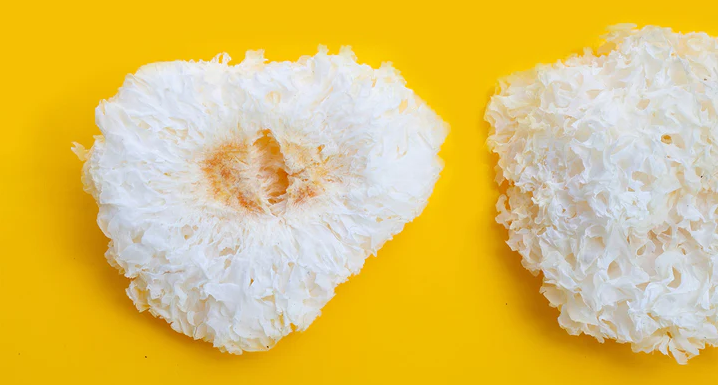 Tremella Mushroom - The Fountain of Youth