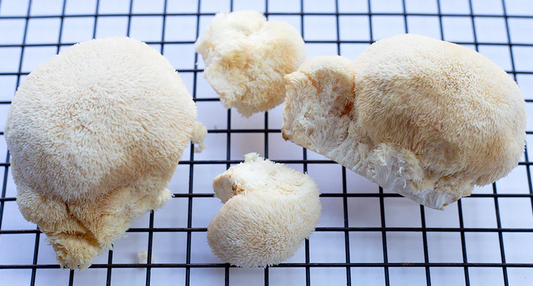 How Lion's Mane Mushroom Can Help Manage ADHD