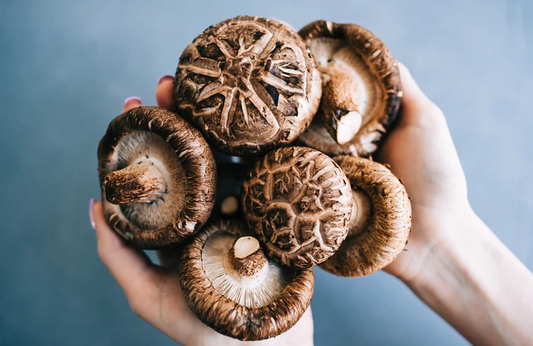 The Power of Shiitake Mushroom: Exploring Its Impressive Health Benefits